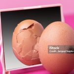 Who Stole Whose Campaign?