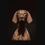 Dear CEO, Marketing Is Not Photoshop