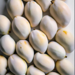 mango cold storage