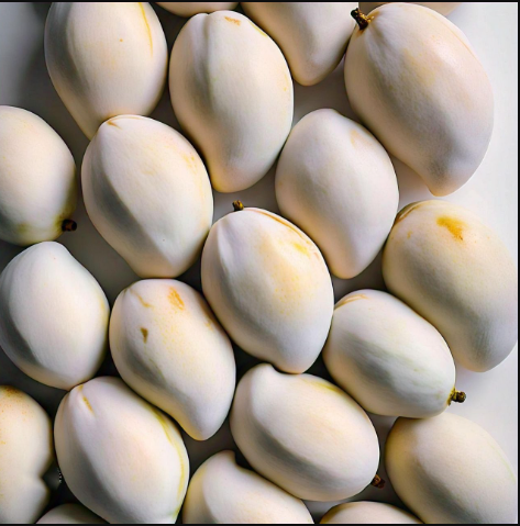 mango cold storage