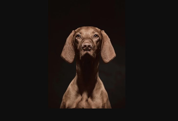 Dear CEO, Marketing Is Not Photoshop