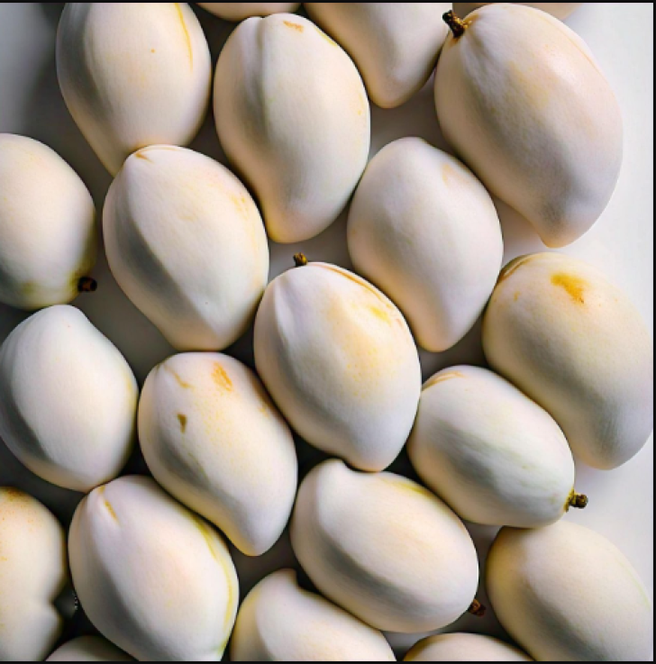 mango cold storage
